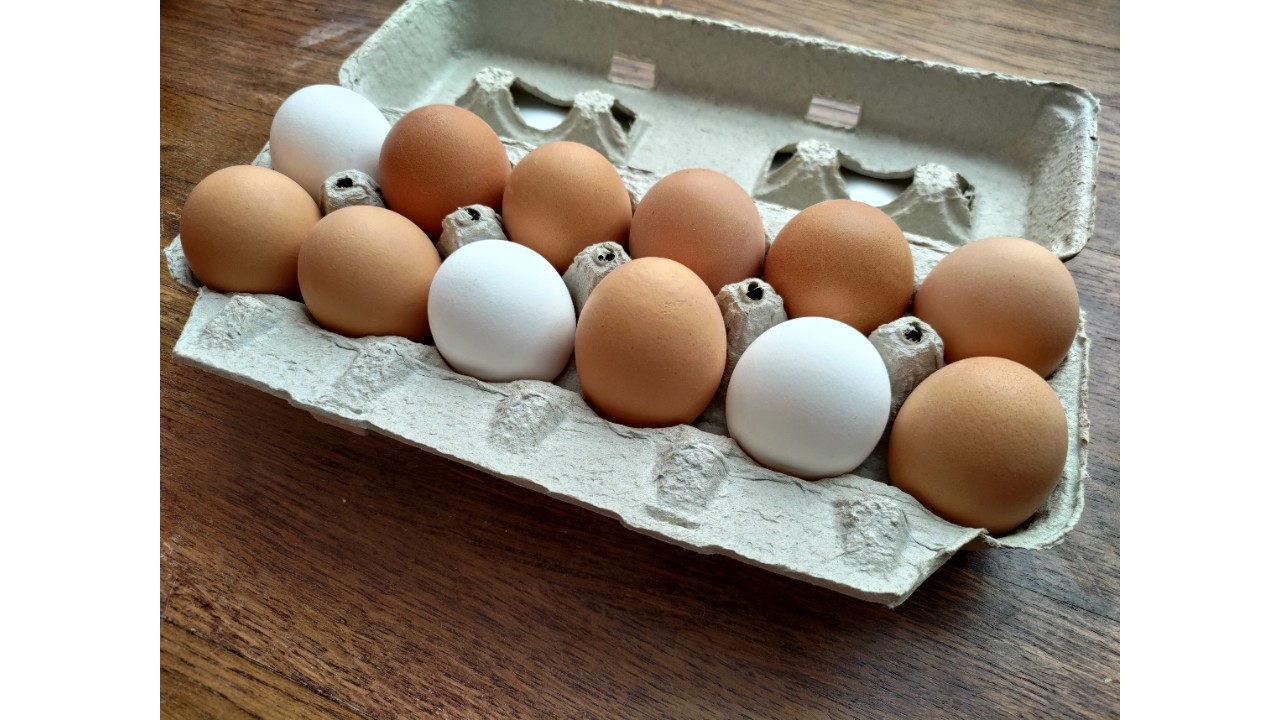Large | Pastured Eggs