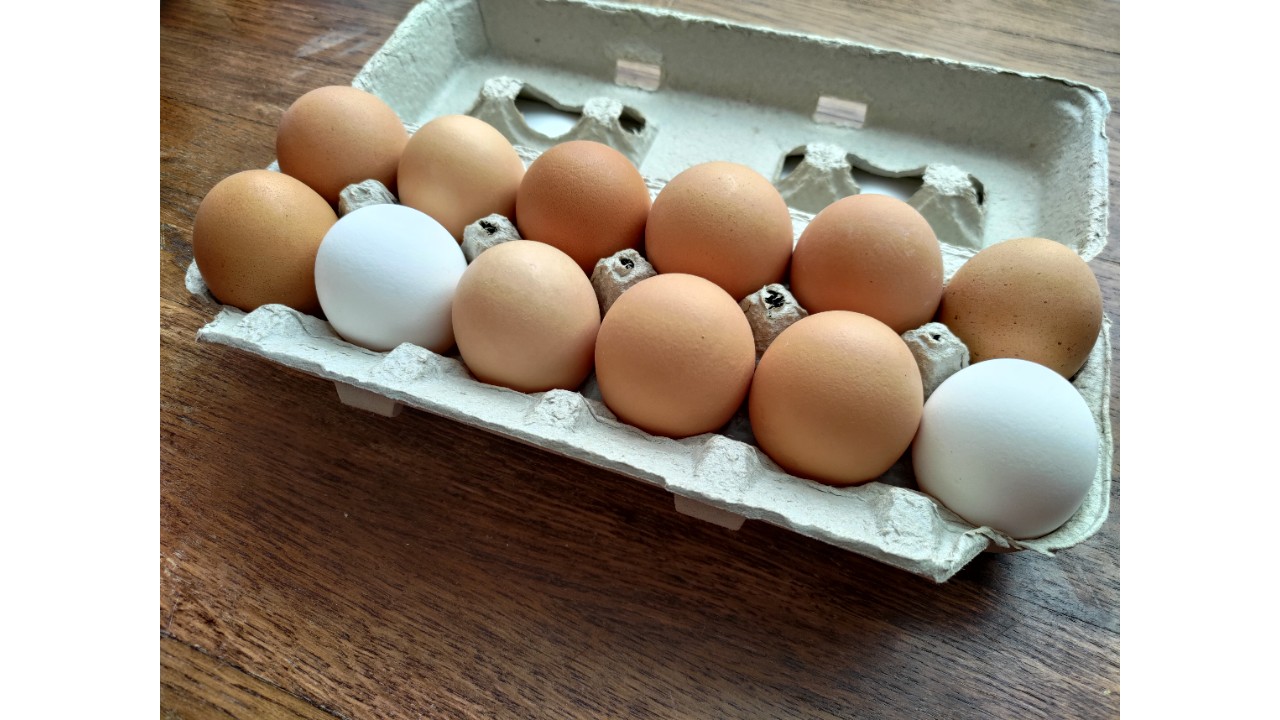 XL | Pastured Eggs