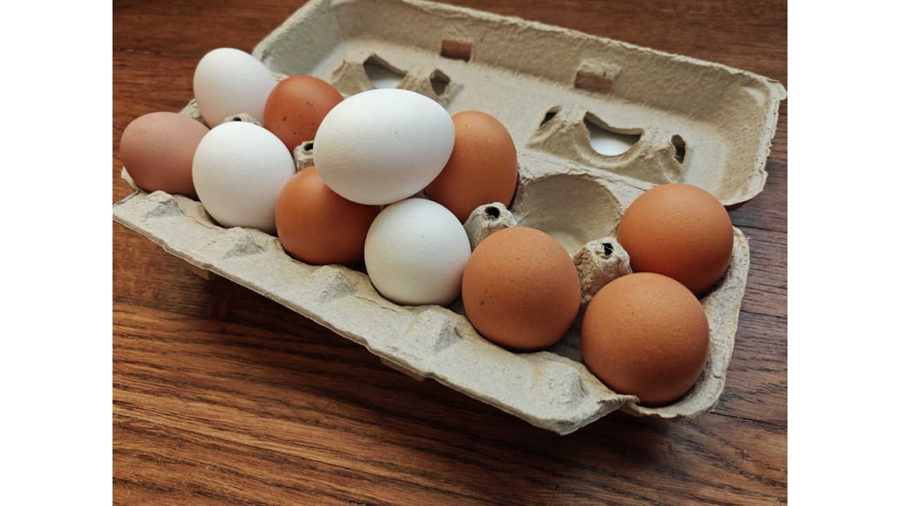 Large Unwashed | Pastured Eggs