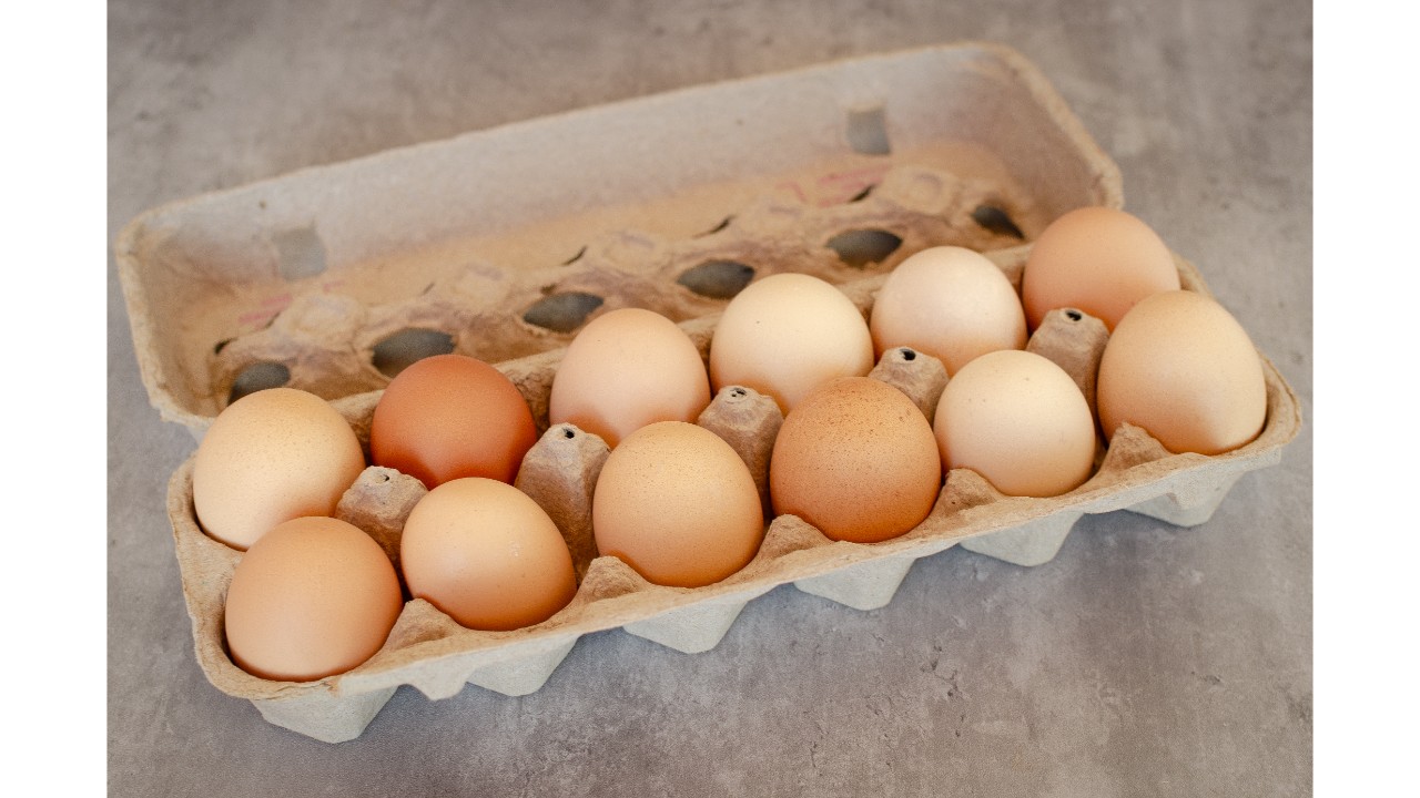 Eggs | No Corn/Soy | Pastured
