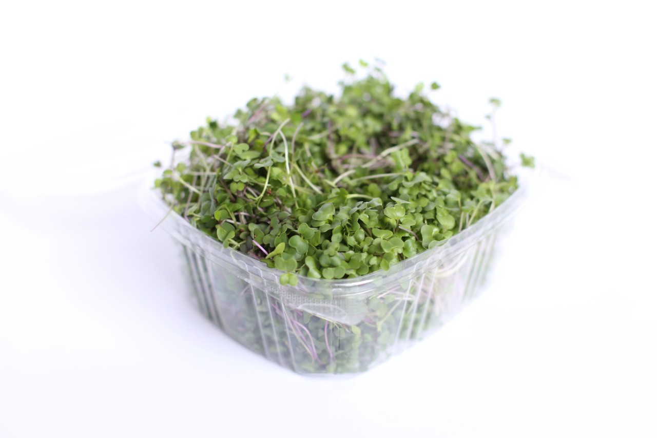 Microgreens Mix
